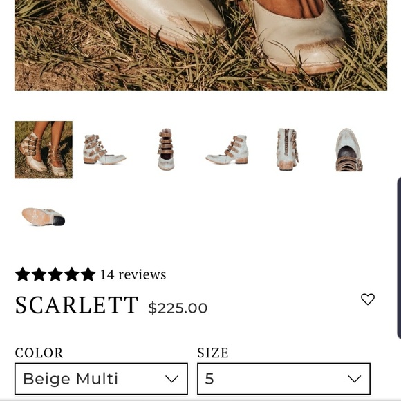 Freebird - Scarlett - Picture 5 of 5